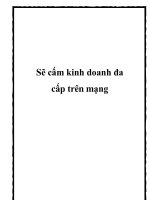 Sẽ cấm kinh doanh đa cấp trên mạng potx