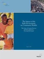The Impact of the Built Environment on Community Health docx
