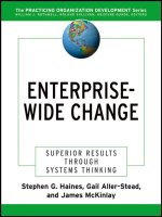 Enterprise-Wide Change Superior Results Through Systems Thinking pptx