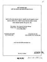 Luận văn: Một số giải pháp phát triển xuất khẩu mặt hàng mới của Việt Nam trong bối cảnh hội nhập kinh tế quốc tế pot