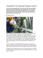 Thương hiệu DN: Từ bị “đánh cắp” đến mập mờ trùng tên pptx