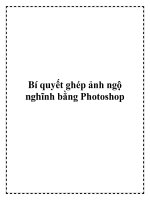 Bí quyết ghép ảnh ngộ nghĩnh bằng Photoshop. pot