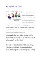 Bí mật về các CEO doc