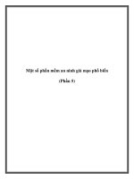 Một số phần mềm an ninh giả mạo phổ biến (Phần 5) pptx