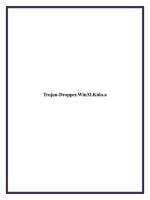 Trojan-Dropper.Win32.Kido.a pot