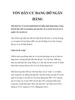 VỐN DÂN CƯ ĐANG ĐỠ NGÂN HÀNG pdf
