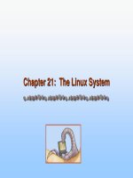 Operating System Concepts - Chapter 21: The Linux System pot