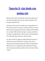 Nguyên lý vận hành của quảng cáo pot