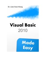 Visual Basic 2010 pot