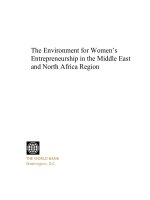 The Environment for Women’s Entrepreneurship in the Middle East and North Africa Region docx