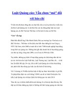 Luật Quảng cáo: Vẫn chưa “mở” đối với báo chí pot