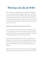 Web hay chỉ cần từ WHY pptx
