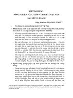 BÀI THAM LUẬN : NÔNG NGHIỆP, NÔNG THÔN VÀ KINH TẾ VIỆT NAM SAU KHỦNG HOẢNG doc