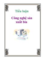 tiểu luận  công nghệ sản xuất bia