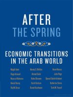 Economic Transitions In The Arab World pptx