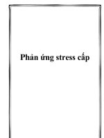 Phản ứng stress cấp ppt