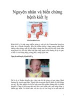 Nguyên nhân và biến chứng bệnh kiết lỵ docx