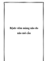 Bệnh viêm màng não do não mô cầu pdf