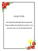 LUẬN VĂN: Xây dựng kênh phân phối, tiếp cận người tiêu dùng sản phẩm nước giải khát của công ty Cocacola tại các khu vực chợ trên địa bàn Hà Nội pdf