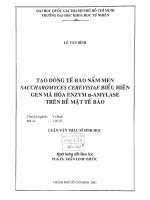 Đề Tài: Tạo dòng tế bào nấm men Saccharomyces Cerevisiae biểu hiện gen mã hóa enzym & α-Amylase trên bề mặt tế bào. potx