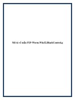 Mô tả về mẫu P2P-Worm.Win32.BlackControl.g docx
