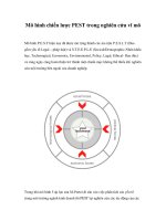 Mô hình chiến lược PEST trong nghiên cứu vĩ mô potx