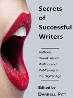 Secrets of Successful Writers pot
