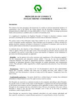 January 2001 PRINCIPLES OF CONDUCT IN ELECTRONIC COMMERCE ppt
