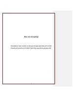 Báo cáo tốt nghiệp: Giải pháp mở rộng và nâng cao hiệu quả tín dụng ngân hàng đối với kinh tế ngoài quốc doanh tại chi nhánh Ngân hàng ngoại thương Quảng ninh potx
