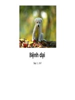 Bênh dại ở chó mèo doc