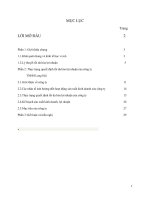 Báo cáo đề tài: “Lợi nhuận và các biện pháp làm tăng lợi nhuận tại Công ty TNHH Long Hải
