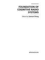 FOUNDATION OF COGNITIVE RADIO SYSTEMS ppt
