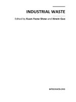 INDUSTRIAL WASTE potx
