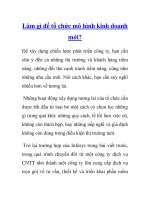 Làm gì để tổ chức mô hình kinh doanh mới? pptx