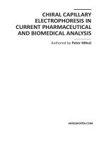 Chiral Capillary Electrophoresis in Current Pharmaceutical and Biomedical Analysis potx