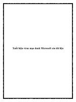 Xuất hiện virus mạo danh Microsoft xóa dữ liệu. pot