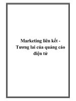 Marketing liên kết Tương lai của quảng cáo điện tử doc