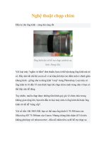 Nghệ thuật chụp chim doc