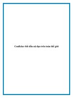 Conficker bắt đầu nã đạn trên toàn thế giới pot