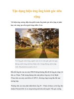 Tận dụng hiệu ứng ống kính góc siêu rộng pot