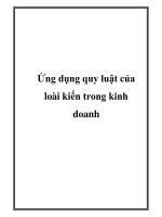 Ứng dụng quy luật của loài kiến trong kinh doanh pot