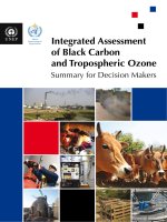 Integrated Assessment of Black Carbon and Tropospheric Ozone docx