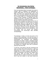 An introduction into Online Advertising. – How it all began pptx