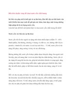 Bốn tiêu chuẩn vàng để chọn nước yến pdf