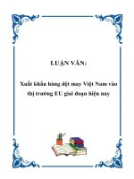 LUẬN VĂN:Xuất khẩu hàng dệt may Việt Nam vào thị trường EU giai đoạn hiện pdf