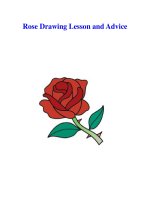 Rose Drawing Lesson and Advice potx