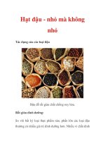 Hạt đậu - nhỏ mà không nhỏ pptx