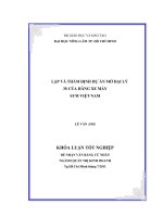 Đề Tài: Lập và thẩm định dự án mở đại lý 3S của hãng xe máy SYM Việt Nam ppt