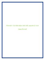 Firewall - Các khái niệm, tính chất, nguyên lý và sử dụng firewall potx