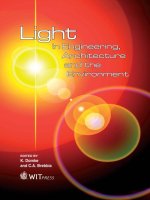 Light in Engineering, Architecture and the Environment pot